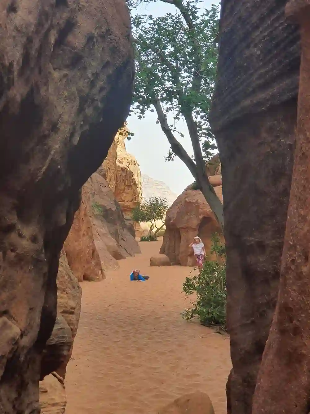 Desert Image 3